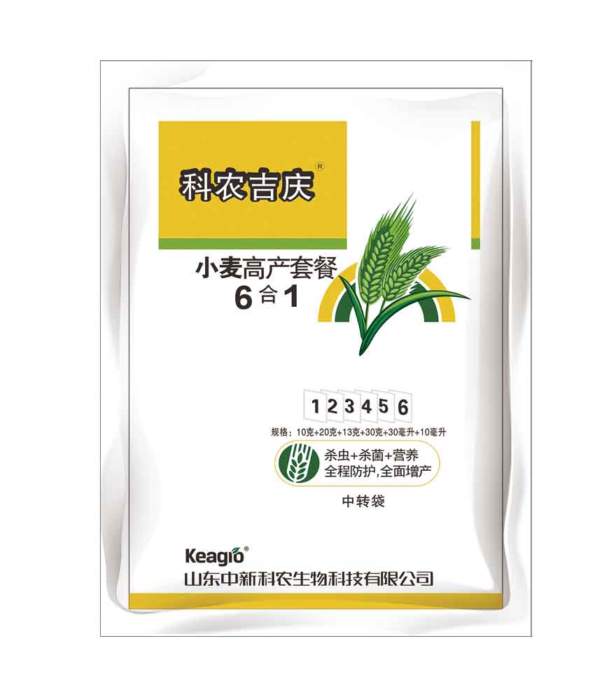 2025新澳门原料网点站