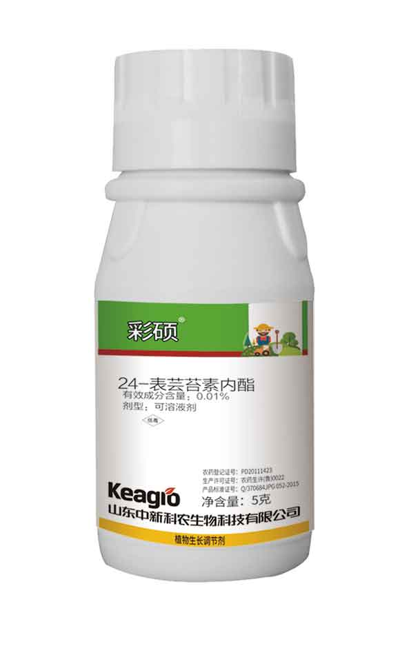 2025新澳门原料网点站